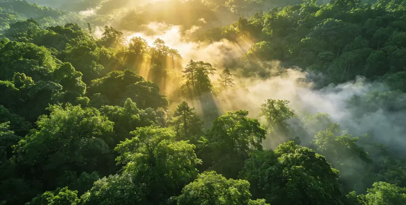 江门肺癌8基因突变检测（组织）图片1