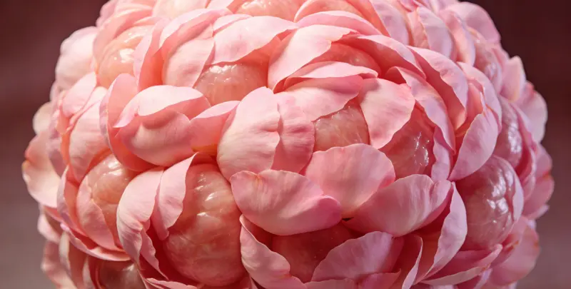 江门BRCA1/2乳腺癌卵巢癌基因检测图片1