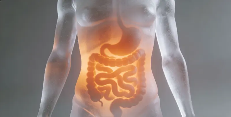 江门胃癌分子分型基因检测项目（组织）图片1